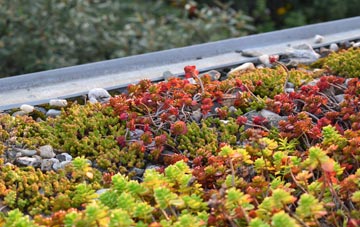 the cost of Kirkton Of Menmuir green roof installation