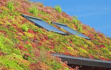 Kirkton Of Menmuir living roof systems