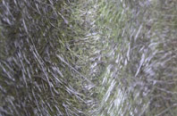 Kirkton Of Menmuir fibreglass roof work